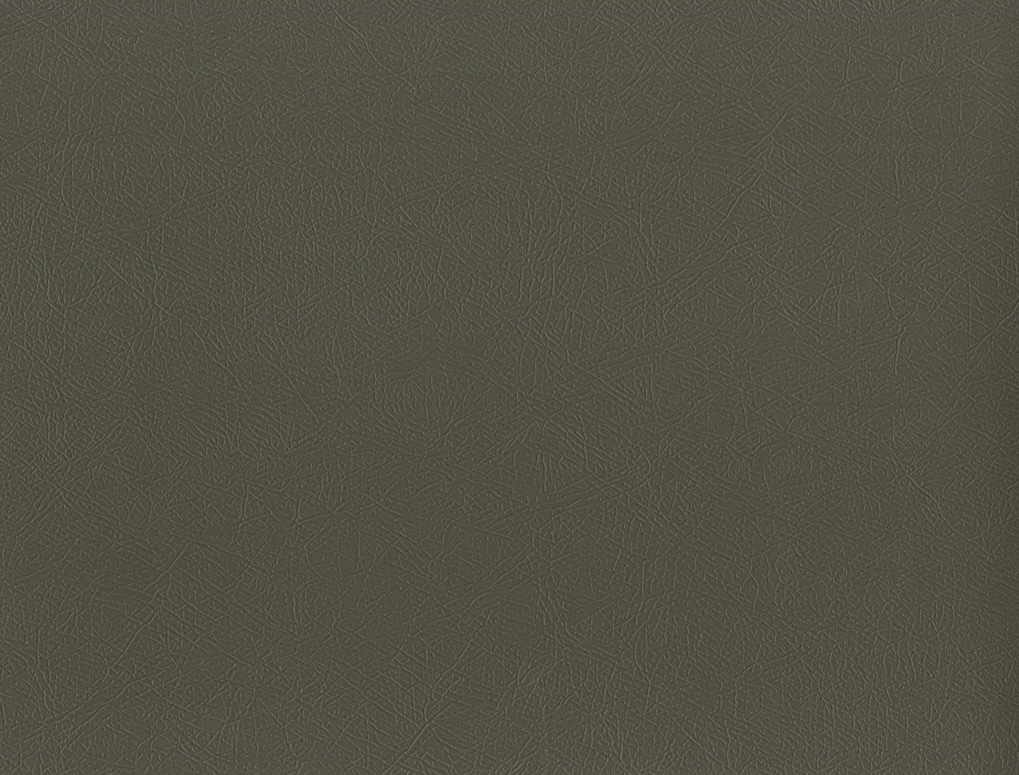 1626316799828027ViEk.jpg
